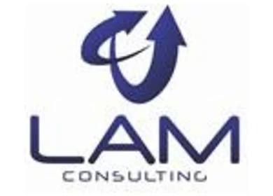 LAM Consulting